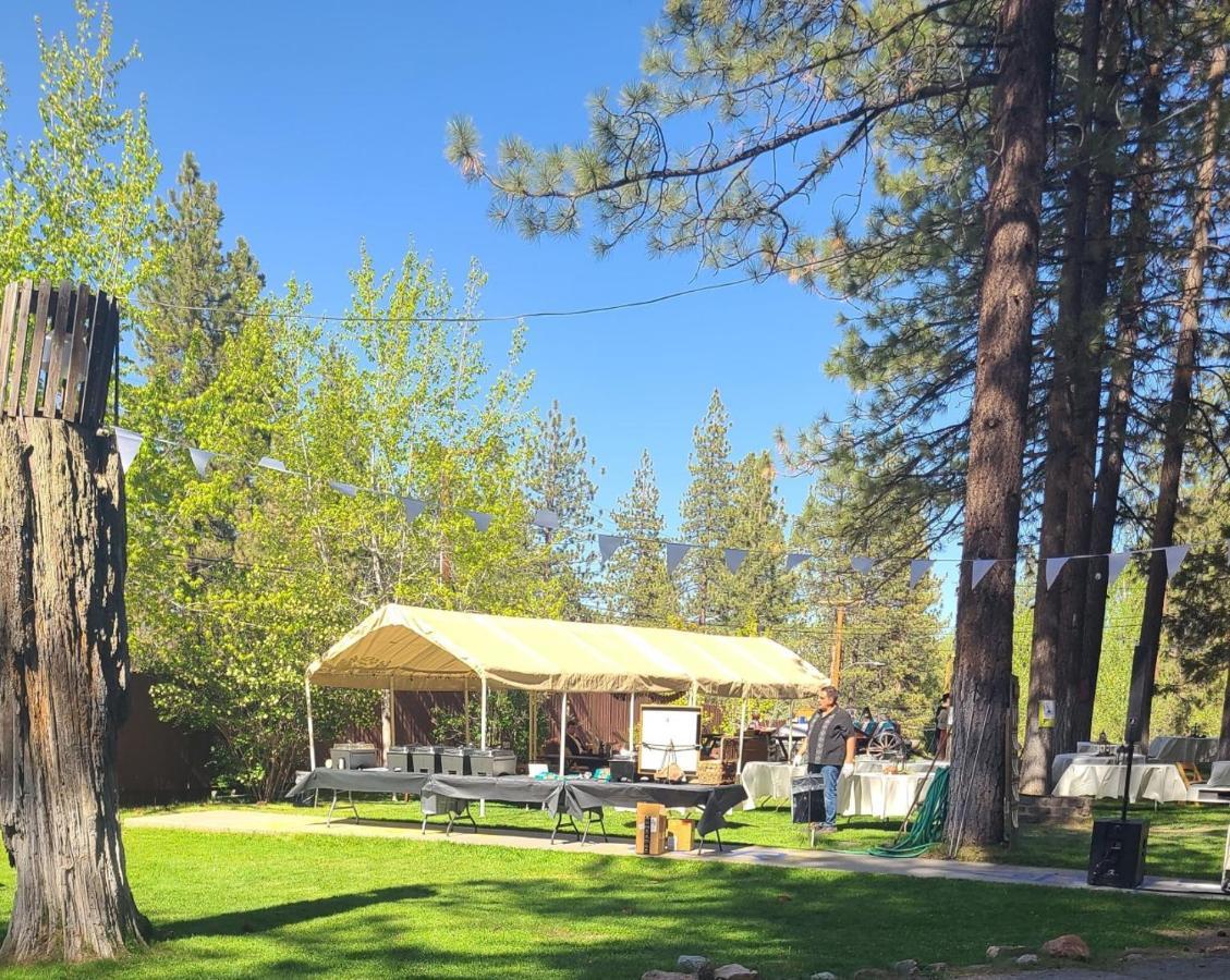 Golden Bear Inc Aparthotel Big Bear Lake Kültér fotó